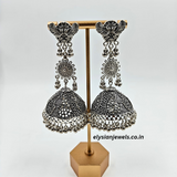 Two Bird Shape Stud And CCB Beads With Long Oxidized Jhumka Earring